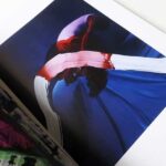Viviane Sassen