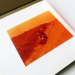 trouble in mind 佐内正史 対照