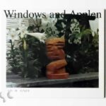 Windows and Applen 谷田一郎 佐内正史