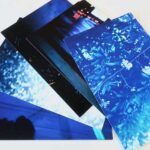 In Shadow 野村佐紀子 インクジェットプリントポストカードセット