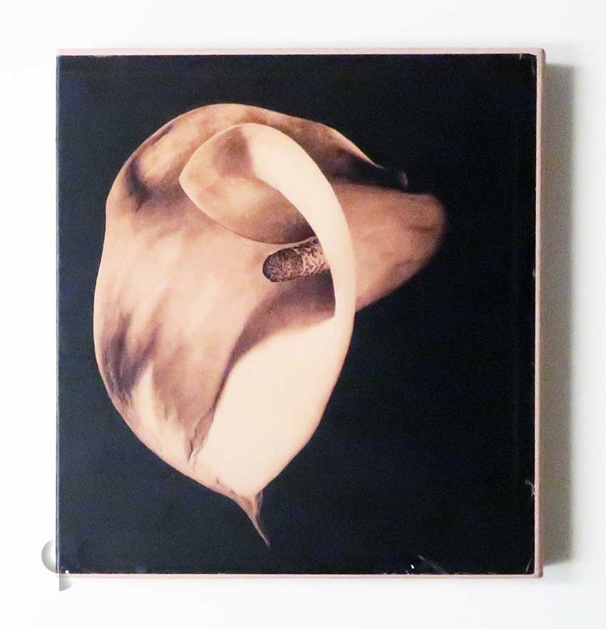 Pistils | Robert Mapplethorpe